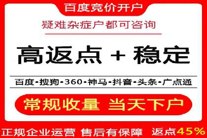 百度推广公司的成功案例：如何实现广告投资回报最大化